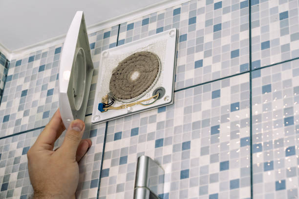 Best HVAC System Cleaning  in Freeland, MI