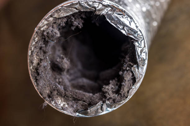 Best Ductwork Cleaning Services  in Freeland, MI