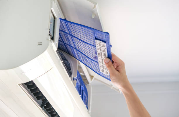 Best Air Vent Cleaning Services  in Freeland, MI