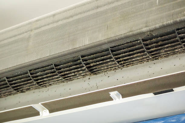 Best Dryer Vent Cleaning Services  in Freeland, MI