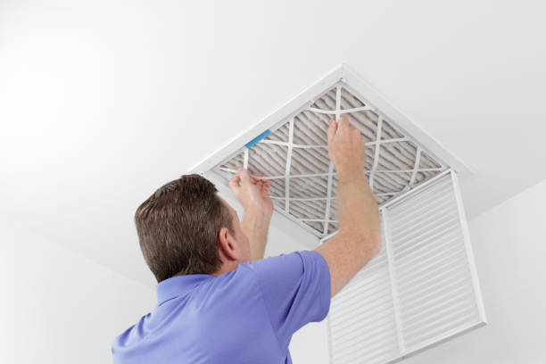 Best Affordable HVAC Duct Cleaning  in Freeland, MI